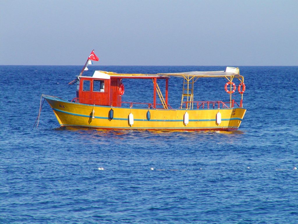 P8010101