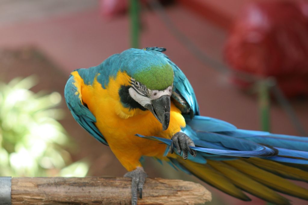 Teneriffa06 c01 275
